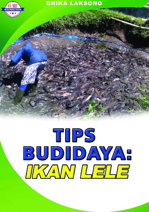 Tips budidaya  : ikan lele